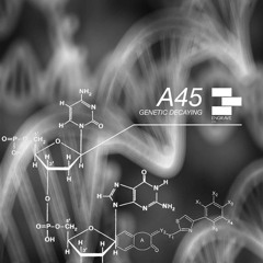 ELTD02 | A45 | Aseptic Violins