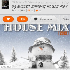 DJ BULLET SPRING HOUSE MIX