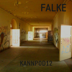 KANNPOD12 - FALKE