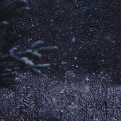 Night Air