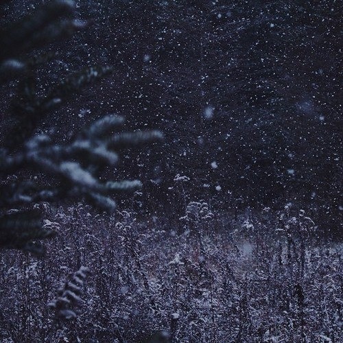Night Air