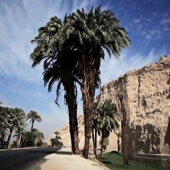 صعيدي