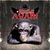 Download BHULU AYAM - Cintaku kandas dilorong BHULU AYAM - Cintaku kandas dilorong