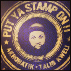 Put Ya Stamp On It ft. Talib Kweli