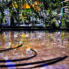 Sat Kartar - Long Time Sun