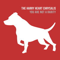 The Harry Heart Chrysalis - You Are Not A Rarity