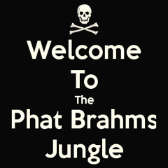 Welcome To The Phat Brahms Jungle - K - Drive 010 Hard Mash-Up