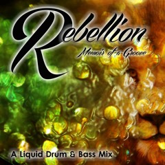 Rebellion: Memoir of a Groove [November 2013 Mix]