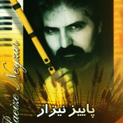 جمشید عندلیبی/ پاییز نیزار