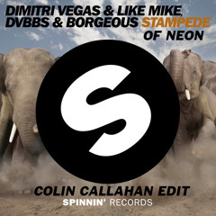 Stampede Of Neon (Colin Callahan Edit)
