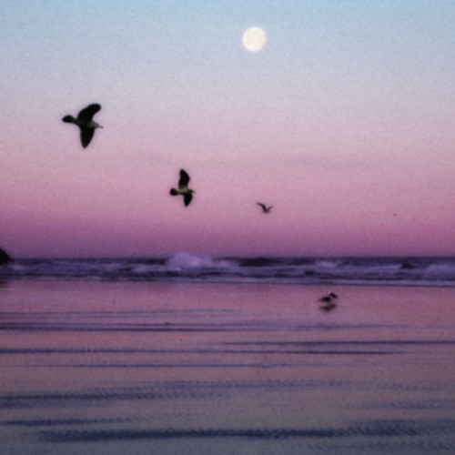 Talamanca - Times like these (DeadPulse remix)