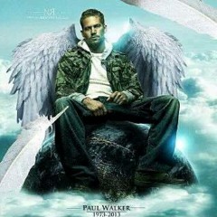 Paul Walker's Tribute