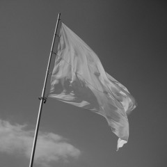 Tidal - White Flag (Kytel Remix)