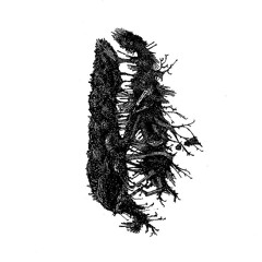 Prise de son - mixtape #1 : Deadback