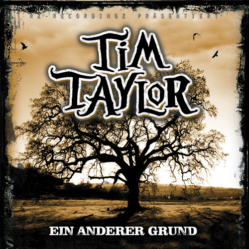 TimTaylor - Alles andere als arm (Oskar Hahn Remix)