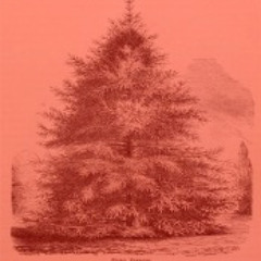 SFXmas - Crayola Lectern