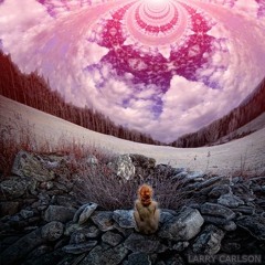 On my trip to WONDERLANDૐ