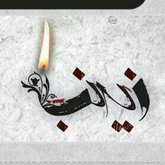 باسم الكربلائي ها يازينب رائعة