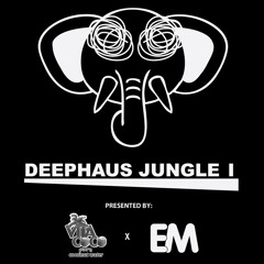 Deephaus Jungle I (Presented By Vita Coco)