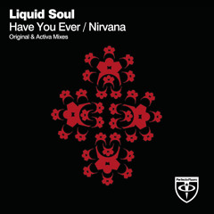 Liquid Soul - Have You Ever (Original Mix)