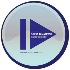 Sinisa Tamamovic - Tricky - Night Light Records
