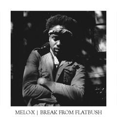 MeLo - X - Break From Flatbush (PartyNextDoor Remix)