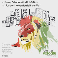 SVr011A - Furney & Locksmith - Dub A Dub