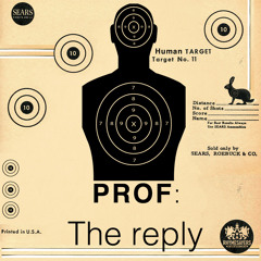 Prof - The Reply