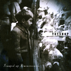 장난감가게(Toyshop) - Flight Of The Kiwi (Demo Ver.)