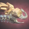New 3d Model For Bcit Nursing Students Mp3