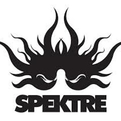 Spektre - Get Together (Slackers Project & Pirania Remix)