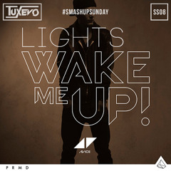 #SMASHUPSUNDAY 08 - Lights Wake Me Up (Tuxevo Smashup)