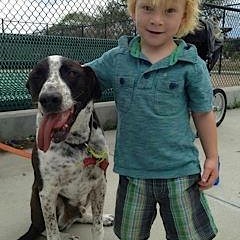 Walking the Dog by T & Honey