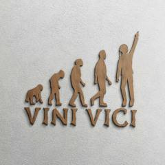 Vini Vici - Divine Mode