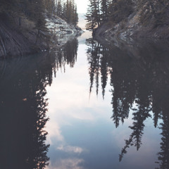 "Welcome To My Dream"