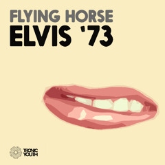 Elvis 73 (Daytime Mix)