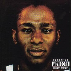 Defrider (Mos Def vs RJD2)