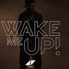 Wake me up (Avicii) vs Drummikub (Stefan Vilijn)
