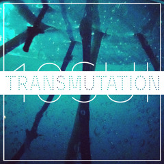 Transmutation >>>