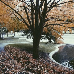 Falling Slowly (Once OST), flute and guitar duet.