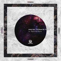 PUR063  Andy Lee - Ya Know Its True (Incl. Markomas Remix )