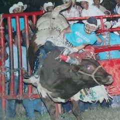 Navideña Nortenas 2013