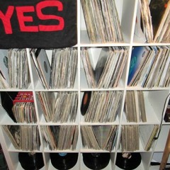 Born in the Jungle (iZaiah and Ewok)