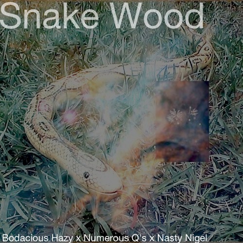 Snake Wood (freestyle) - Bodacious Hazy x Numerous Q's x Nasty Nigel