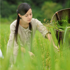 Nàng Tiểu Phương _ Ly Xuan Ba