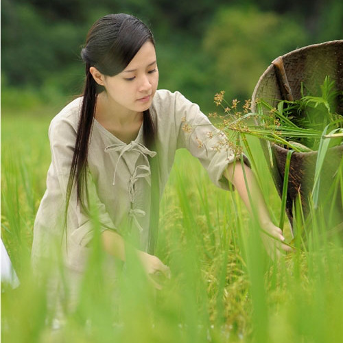 Nàng Tiểu Phương _ Ly Xuan Ba