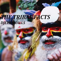 THE TRIBAL FACTS DJEVANHALLS (ORIGINAL) MIX