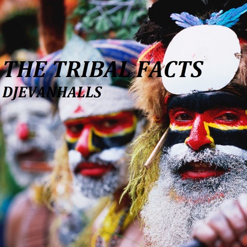 THE TRIBAL FACTS DJEVANHALLS (ORIGINAL) MIX