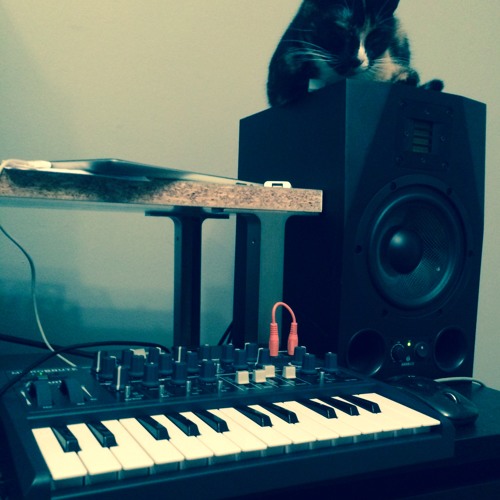 MicroBrute Demo (ACID)-  LFO->Filter, HP/LPF, Resonance at 3/4+, Env. speed MEDIUM