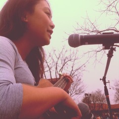 Little House (Amanda Seyfreid guitar cover)